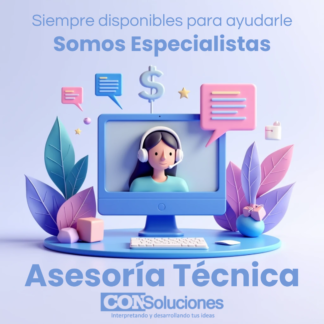 Asesoría Técnica